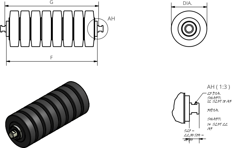 AH ( 1:3 ) AH F G DIA. 25	DIA. SHAFT: 12	SLOT 18 AF 30DIA. SHAFT: 14	SLOT 22 AF S25 = 22,00 S30 = 25,00